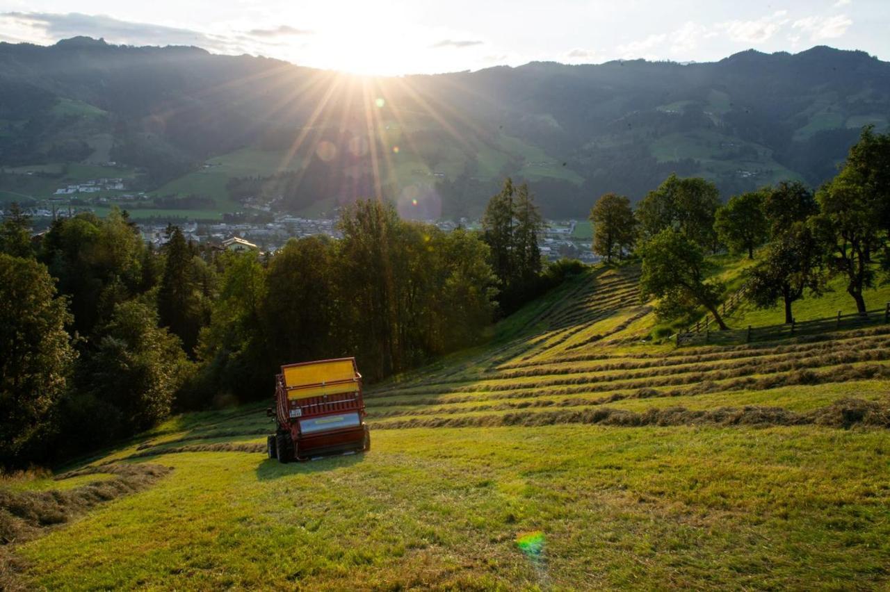 Appartements Lehenhof Sankt Johann im Pongau Dış mekan fotoğraf