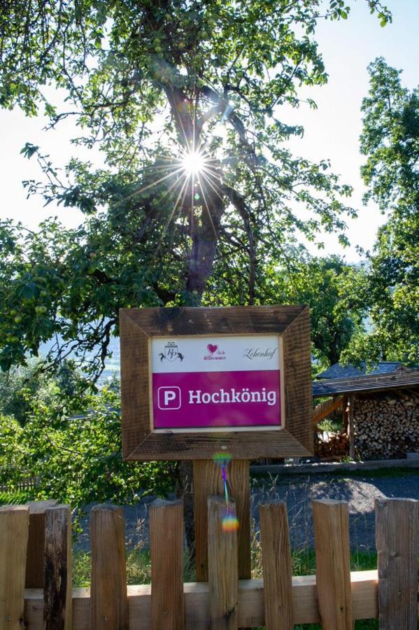 Appartements Lehenhof Sankt Johann im Pongau Dış mekan fotoğraf