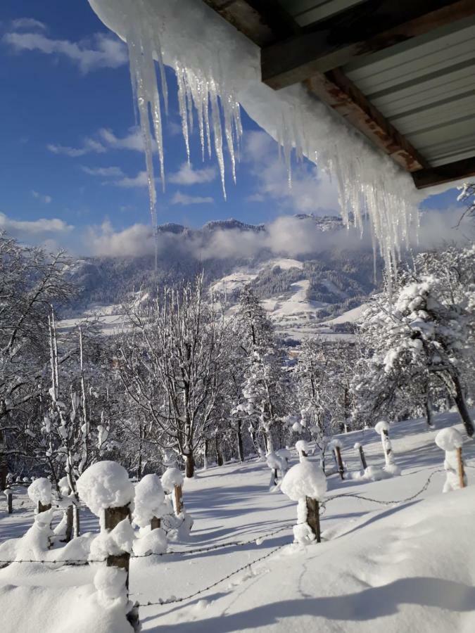 Appartements Lehenhof Sankt Johann im Pongau Dış mekan fotoğraf